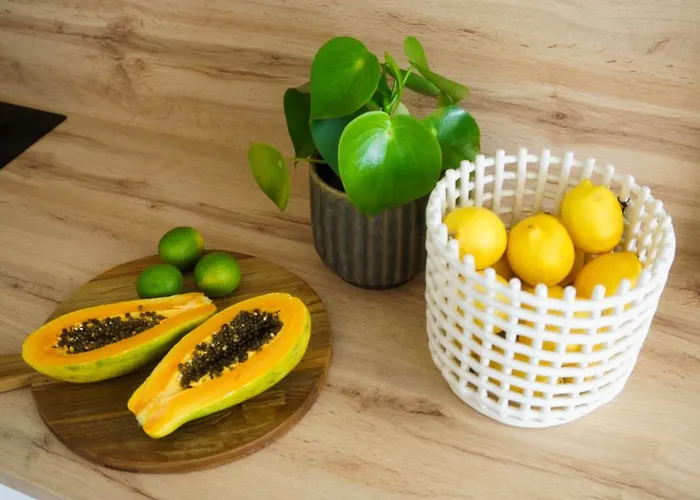 Golden Plaza Apartment Corralejo